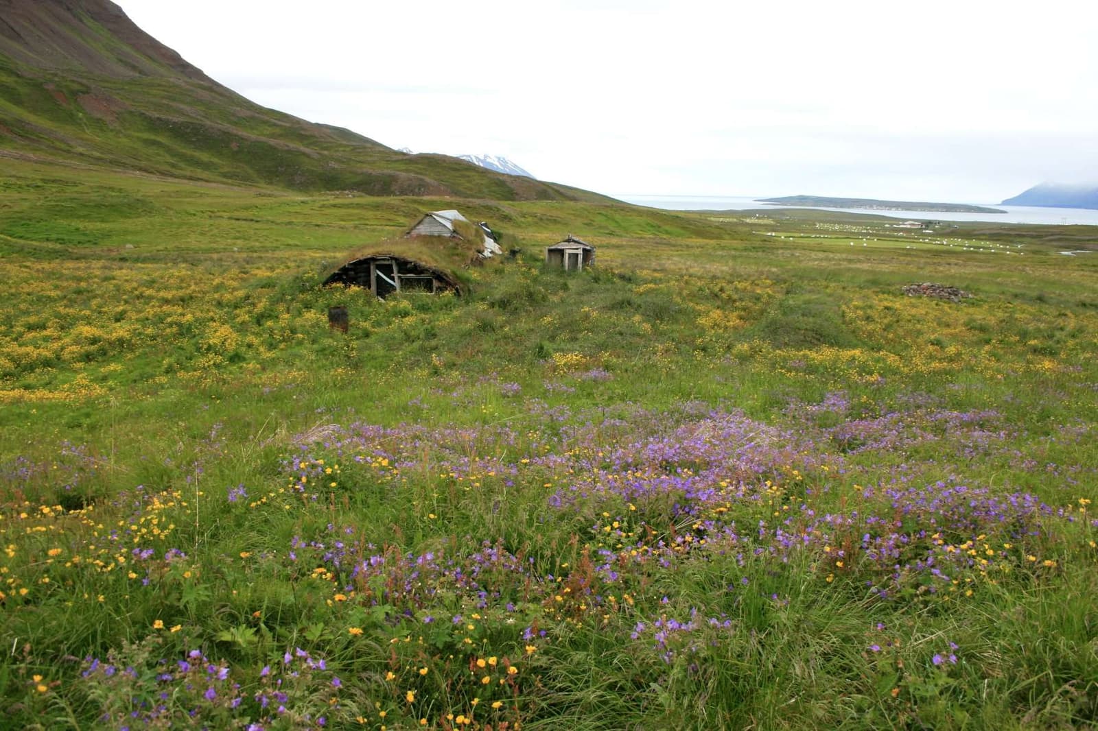 Hillside above Hauganes with old turf-roofed remains and a view back toward the coast