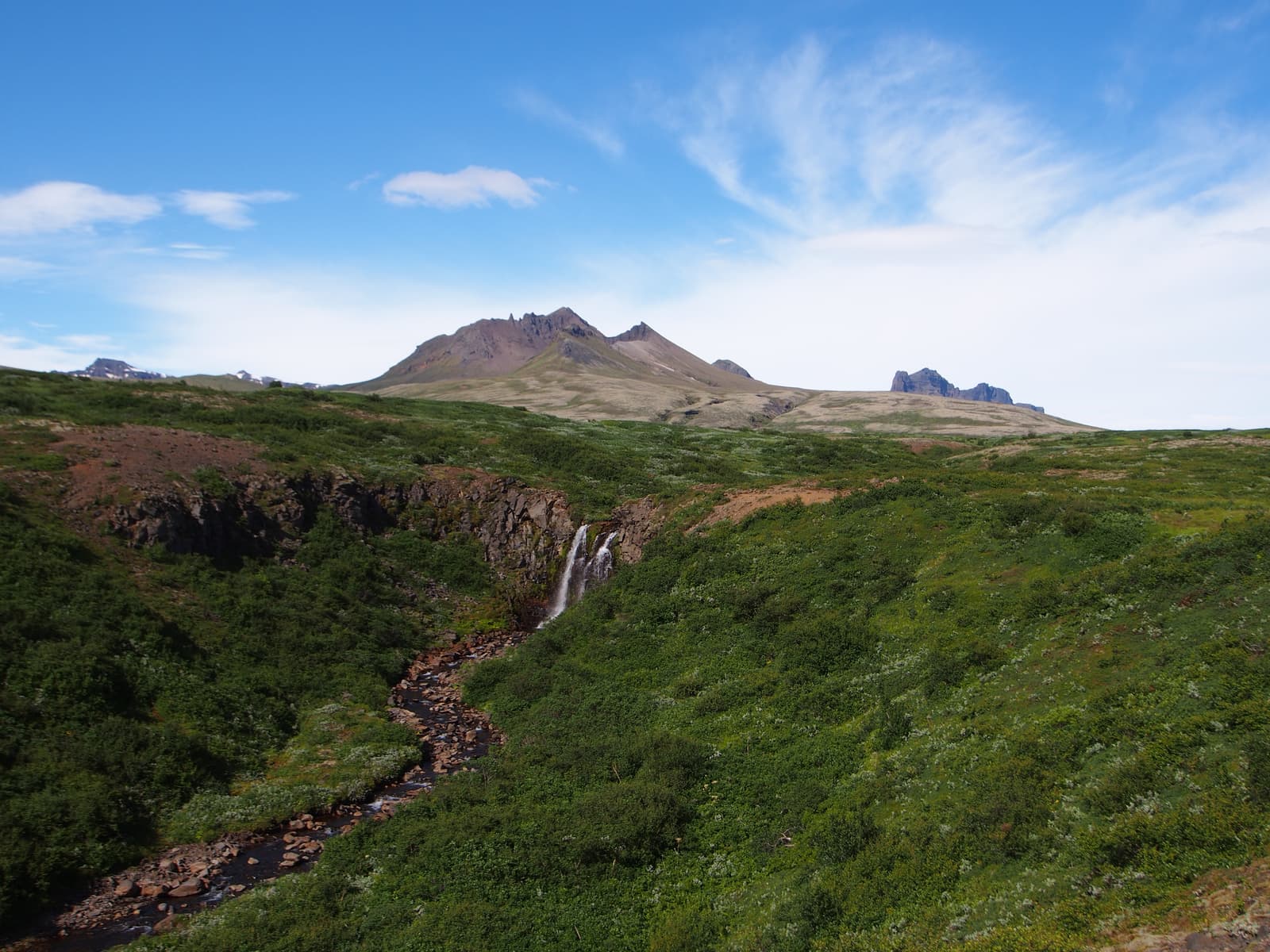 Green slopes and trail landscape in Skaftafell National Park.
