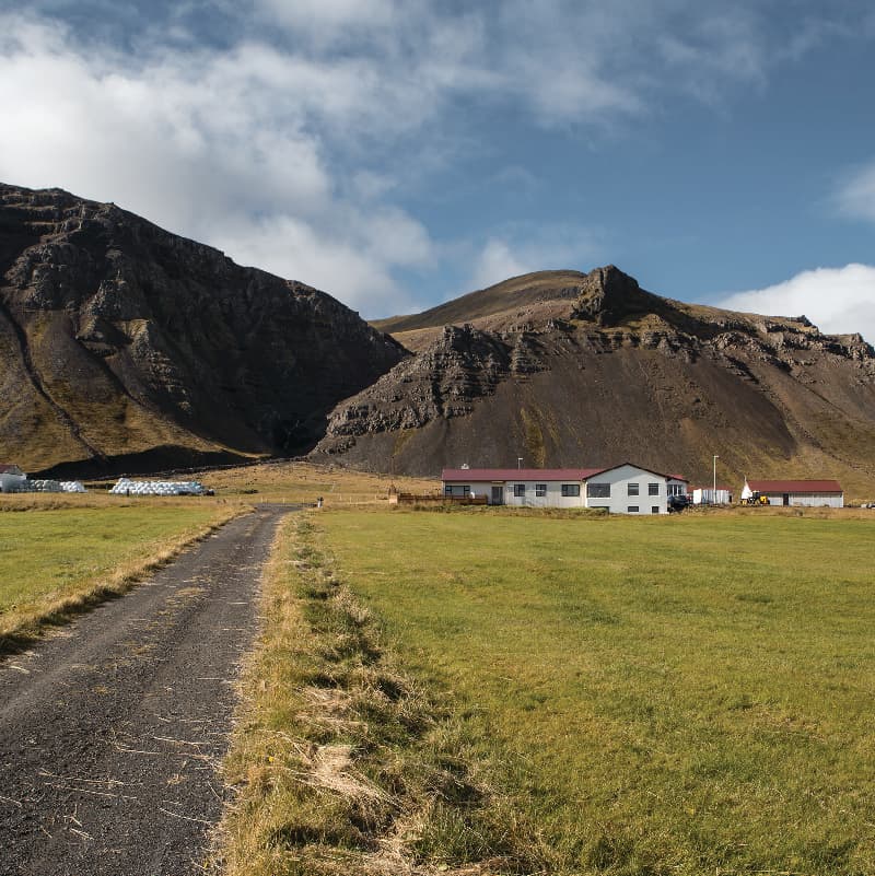 Bjarnarhöfn farm buildings below Bjarnarhafnarfjall on the Snæfellsnes Peninsula.