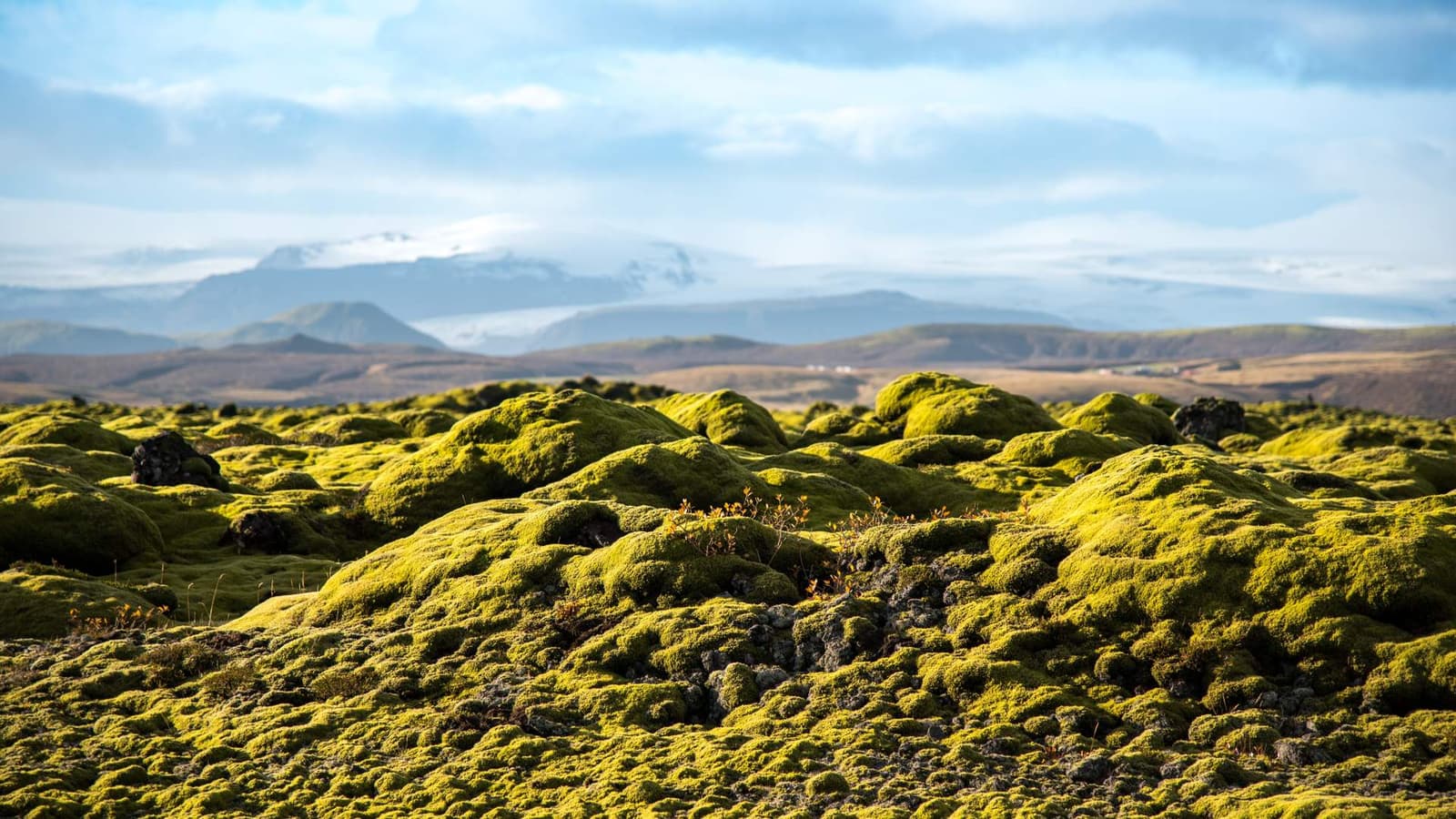 Moss-covered Eldhraun lava field with rounded green lava forms and distant South Iceland mountains.