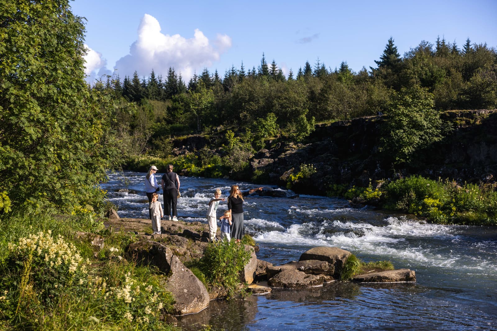 Elliðaá river flowing through green Elliðaárdalur with visitors standing near the water in Reykjavík.
