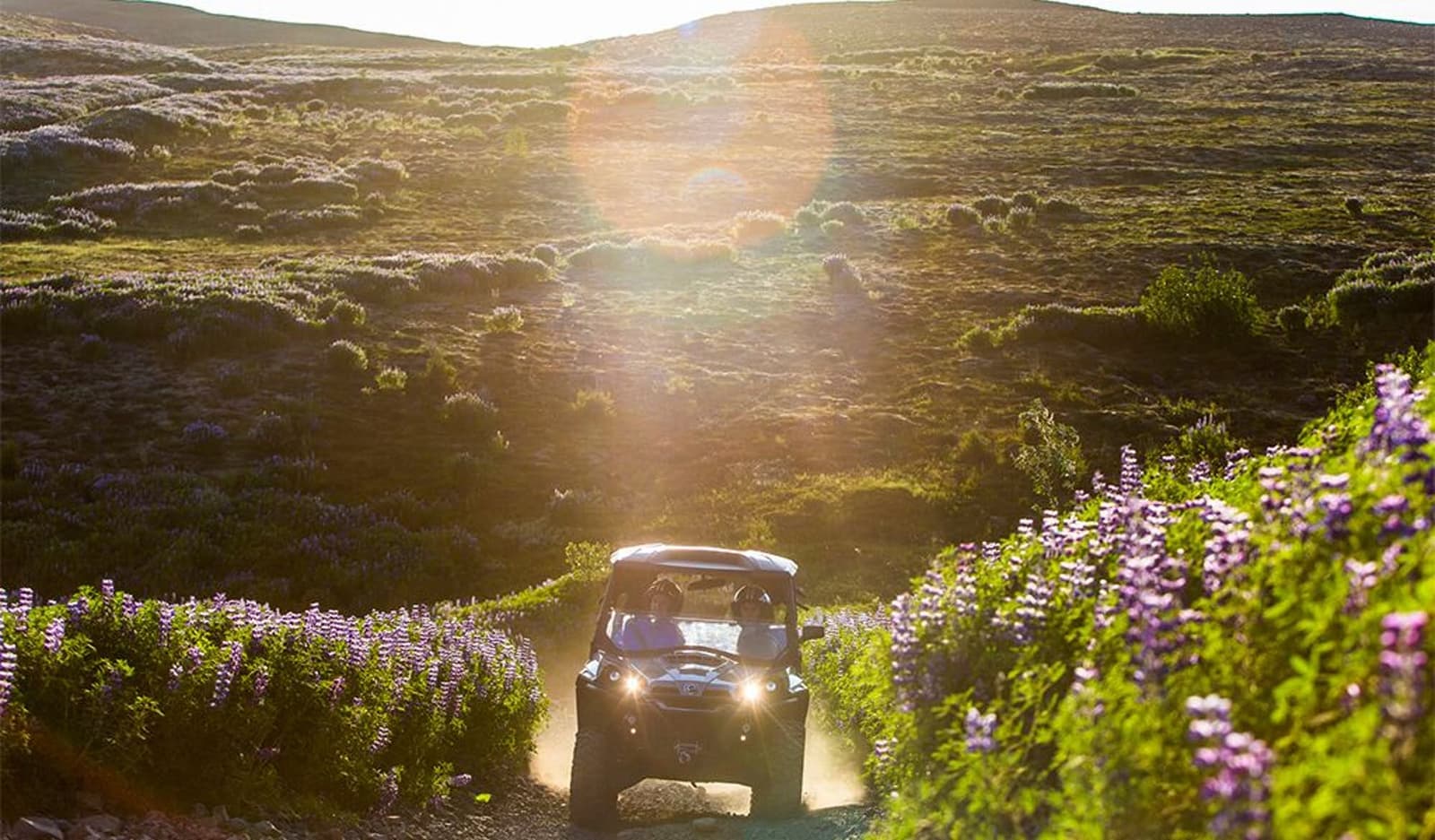A small off-road vehicle on a Hafrafell track with lupines and low mountain slopes near Reykjavík.