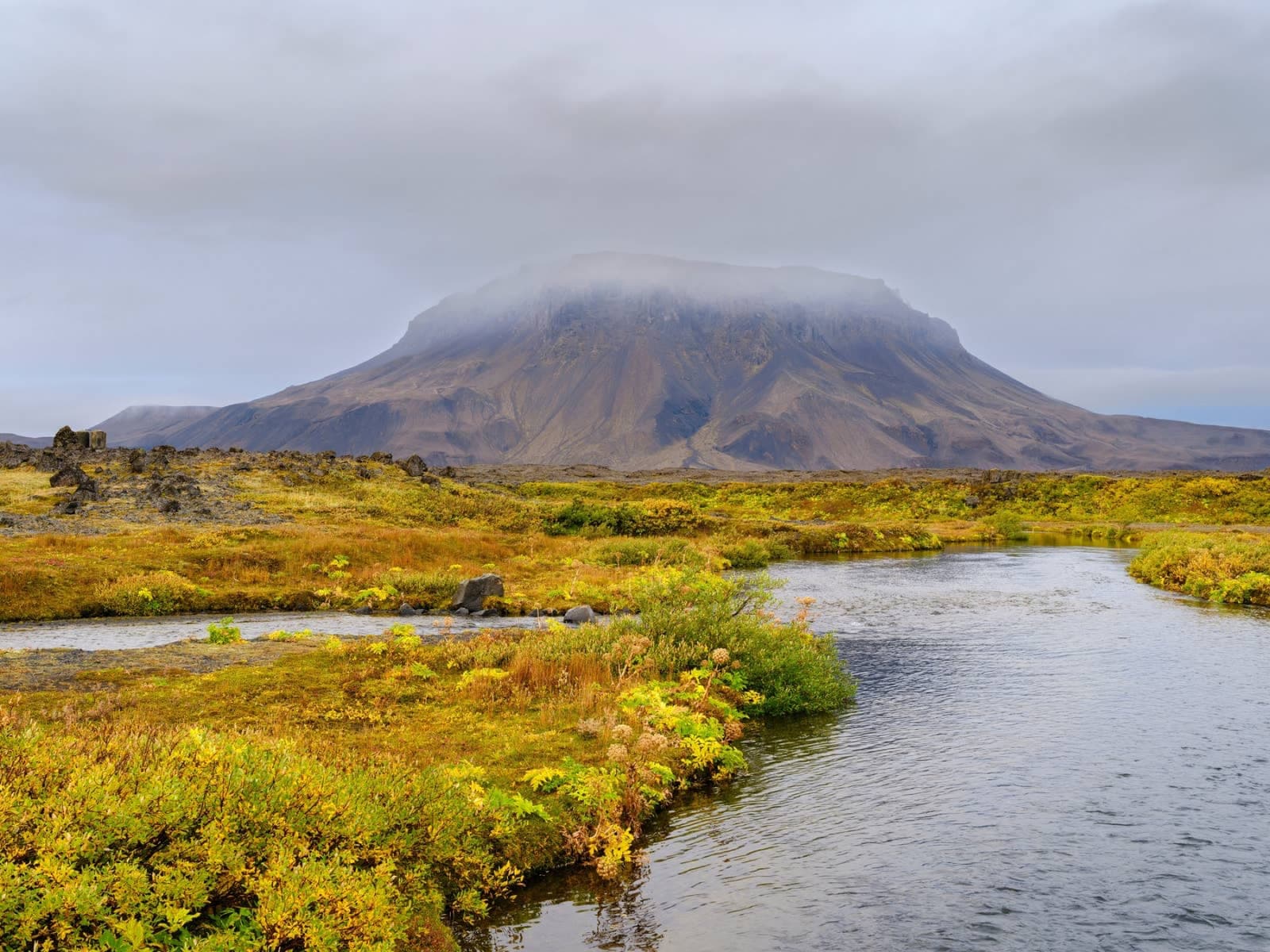 Lindaá flowing through green vegetation at Herðubreiðarlindir with Herðubreið rising behind the oasis.