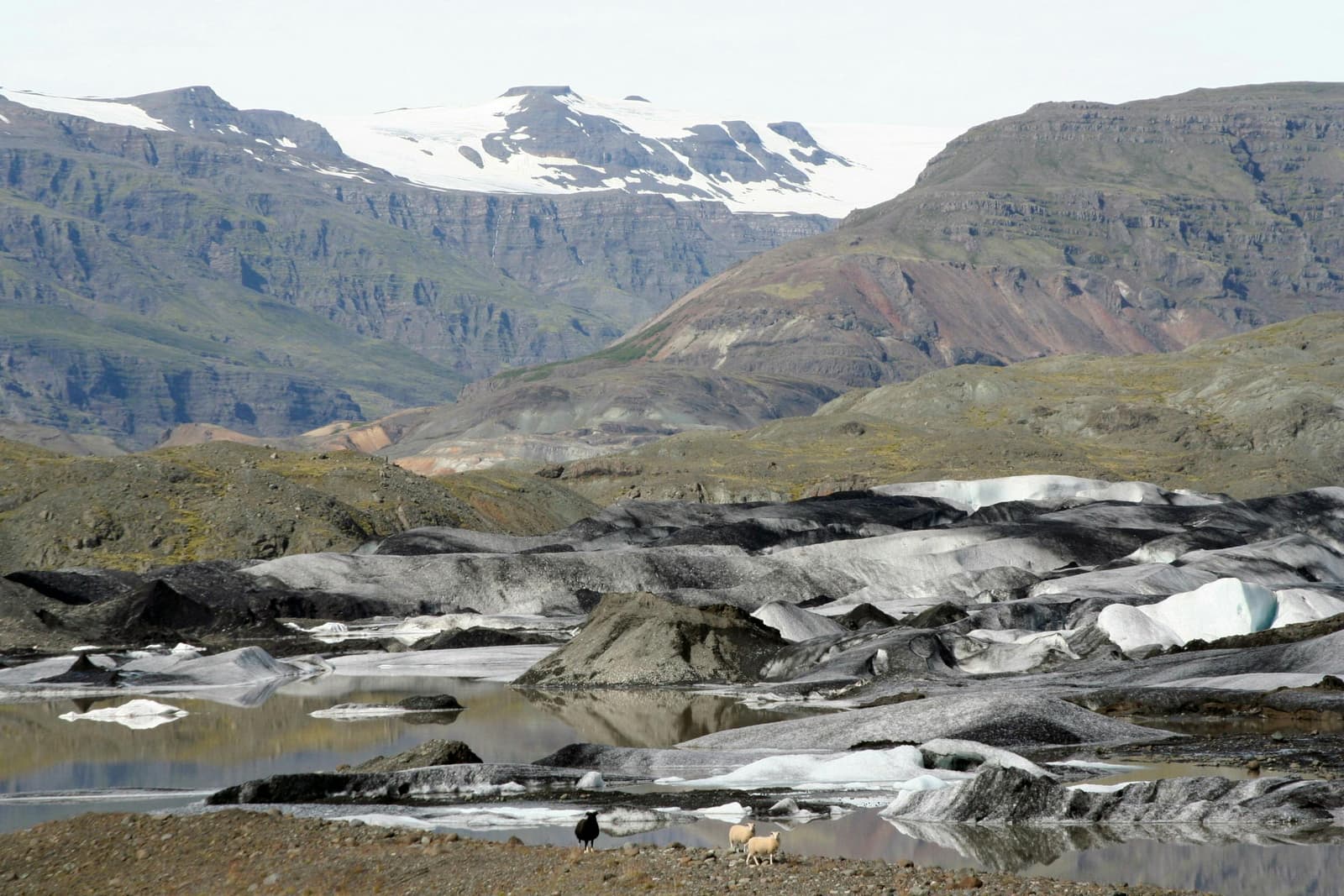 Hoffellslón below the Hoffellsjökull area with glacier-country slopes behind it.