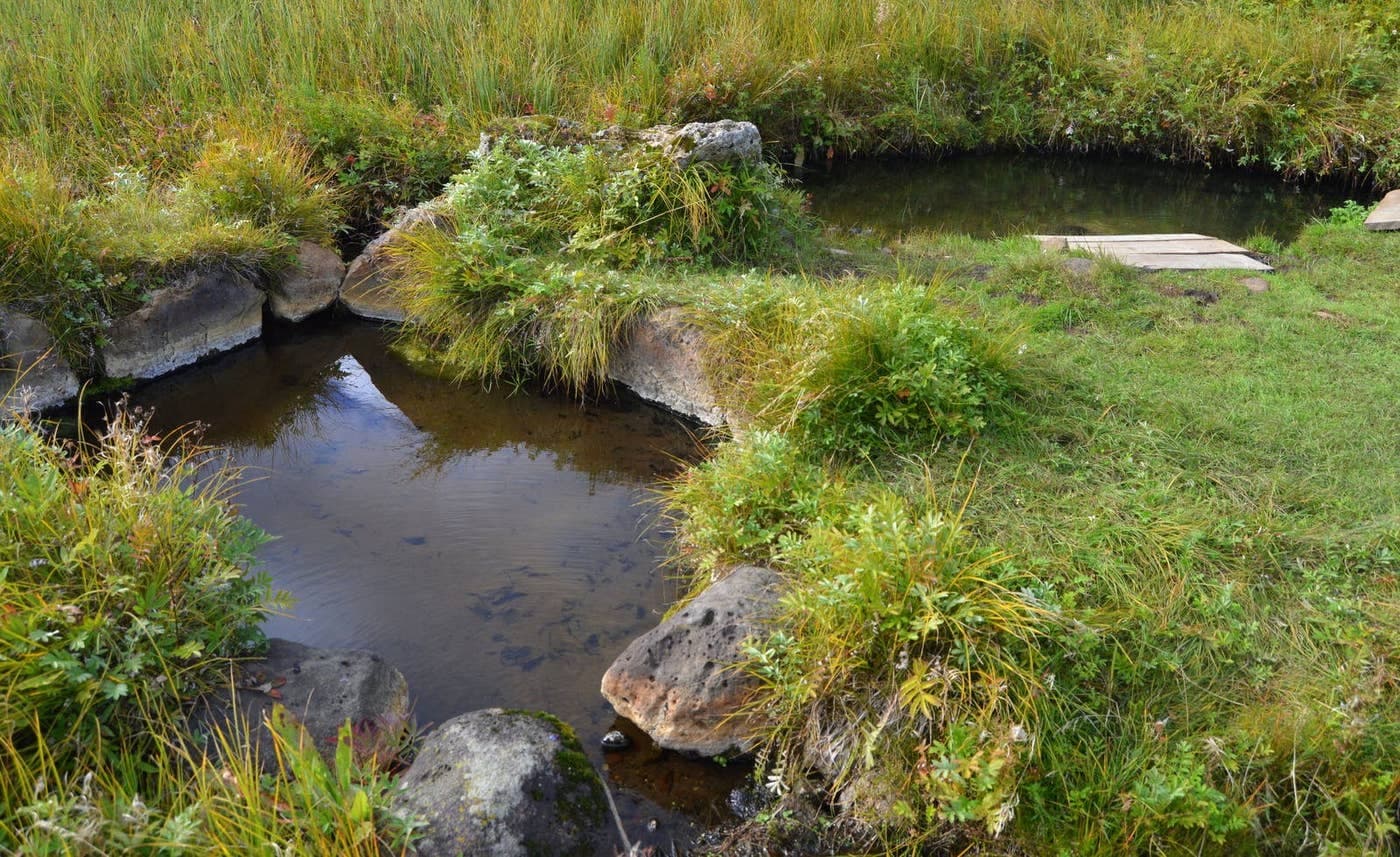 Small stone-edged Kúalaug hot-spring pools set into grass near Haukadalur.