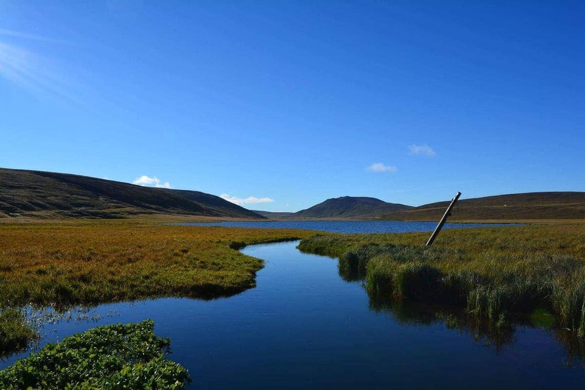 Blue water, wetland edges, and low hills around Langavatn Lake.