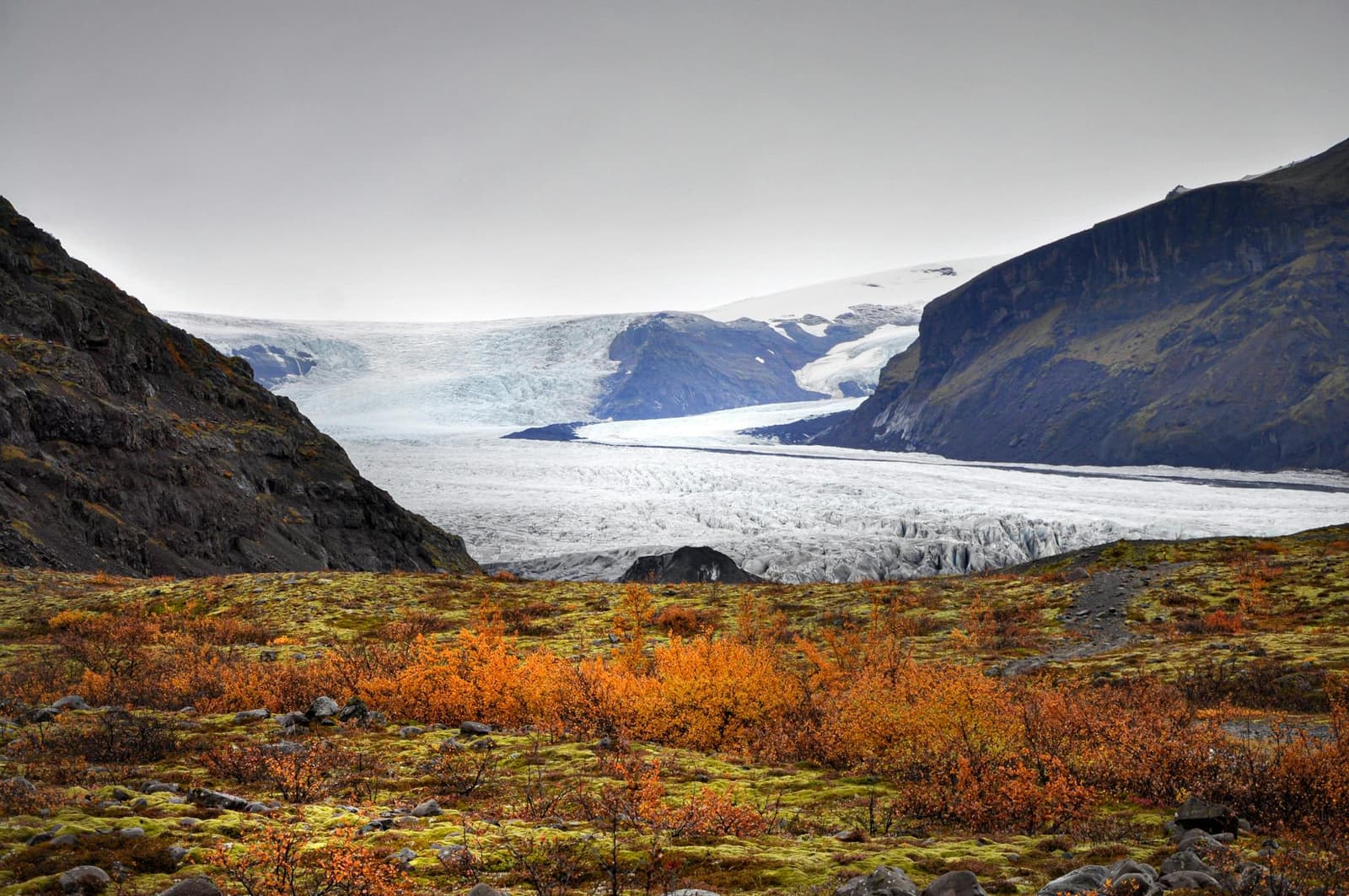 Wide glacier view from a Skaftafell trail with autumn vegetation and dark valley walls.
