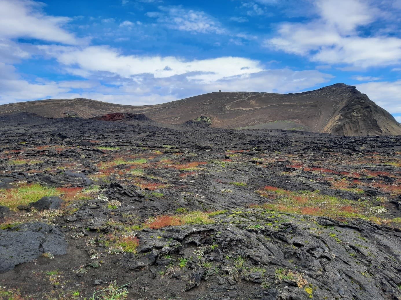 Surtsey's dark lava fields and low volcanic ridges under a blue sky in the protected island reserve.