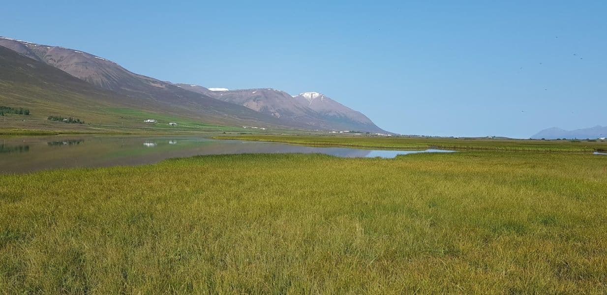 Wetland pools and grassland in Svarfaðardalur with Tröllaskagi mountains behind the protected valley.