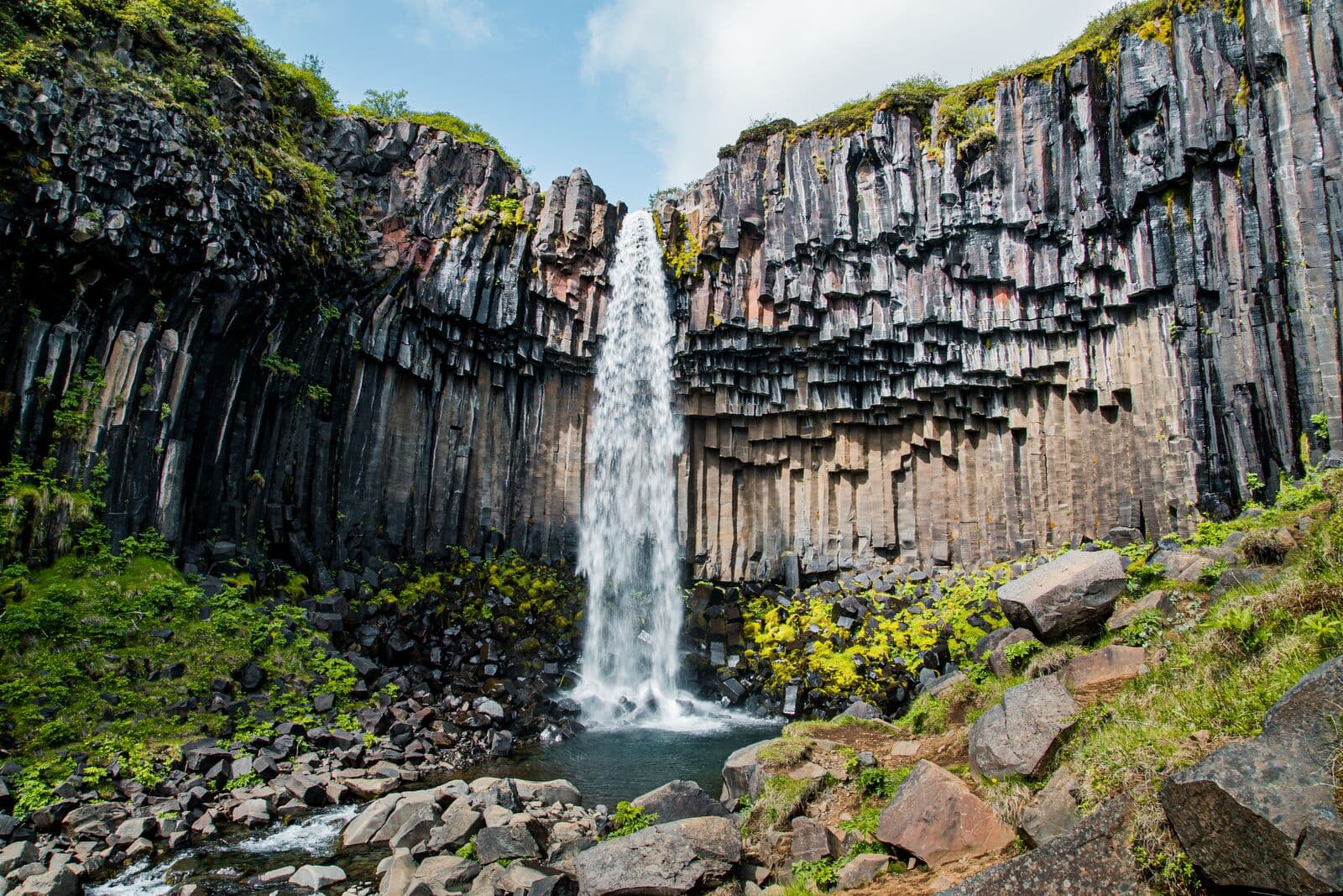 Svartifoss falling into a basalt-column amphitheatre at Skaftafell.