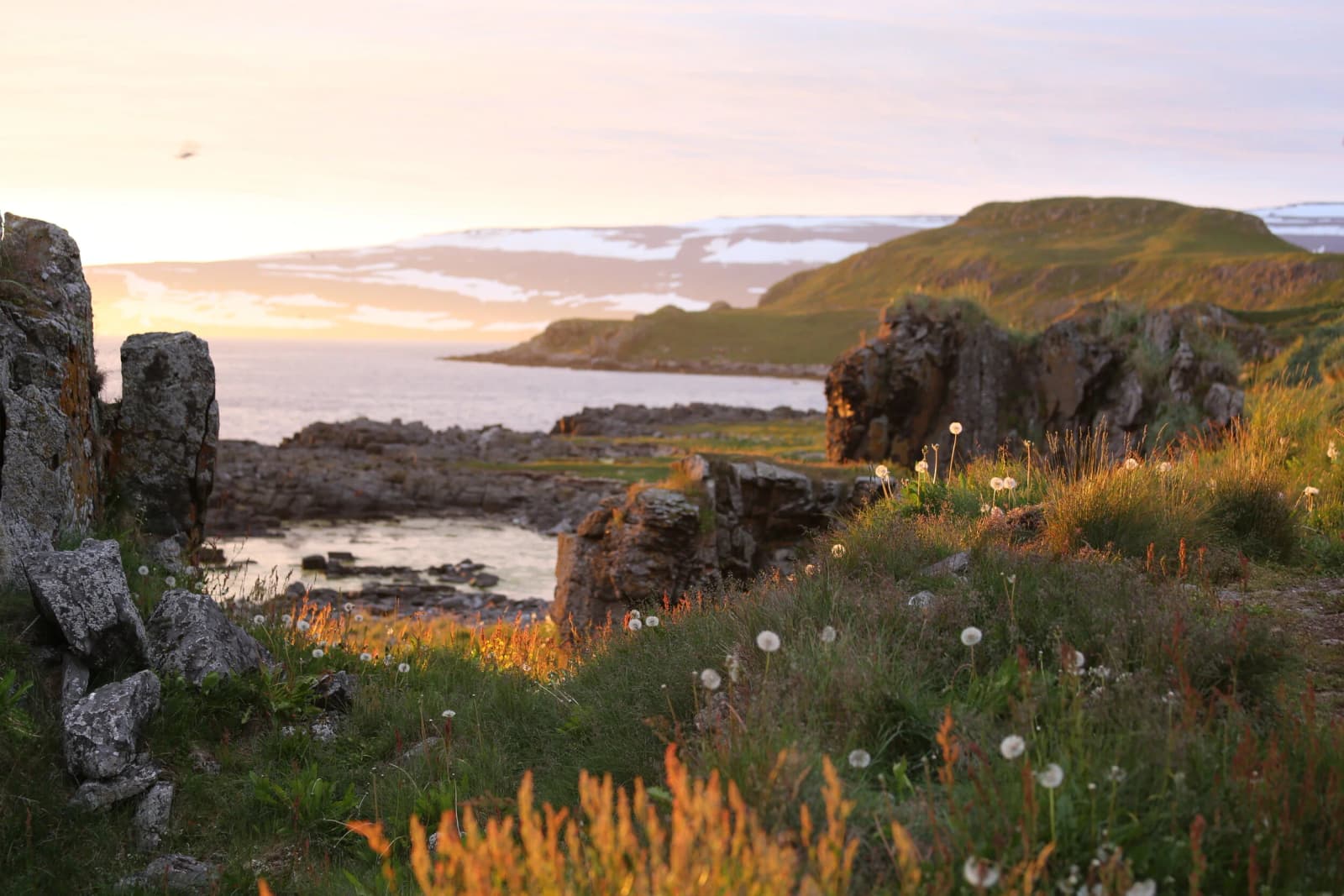 Warm light on rocky Vigur coastline with grass, water, and Westfjords hills beyond.