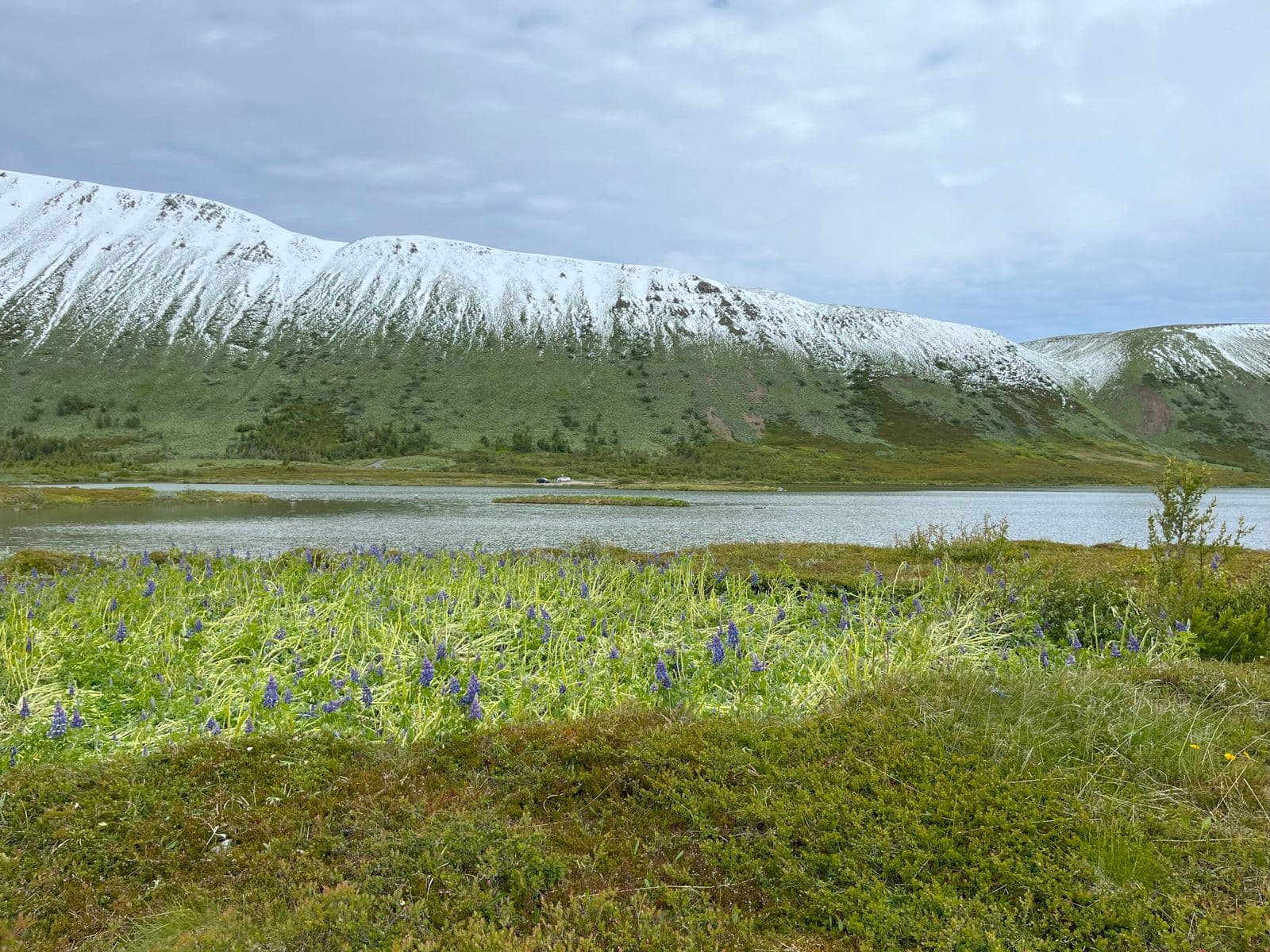 Botnsvatn lake and green Húsavík hillside below snow-streaked slopes in North Iceland.