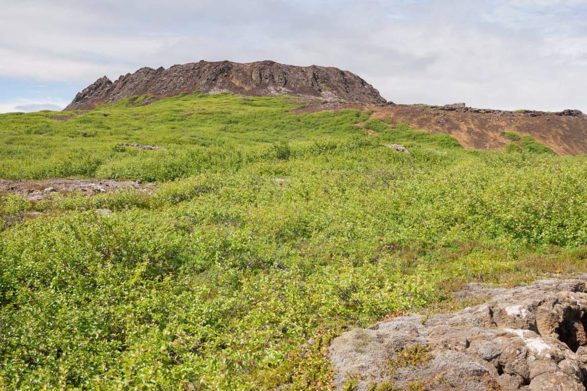 Eldborg crater rising above green lava-field vegetation in West Iceland.