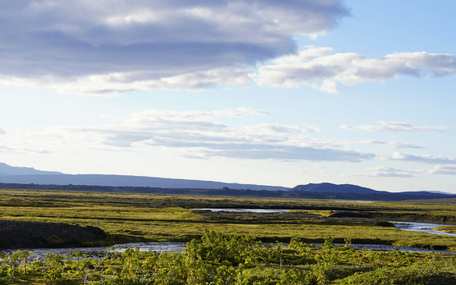 Green Hvannalindir oasis with streams, low vegetation, lava edges, and distant highland ridges under clouds.