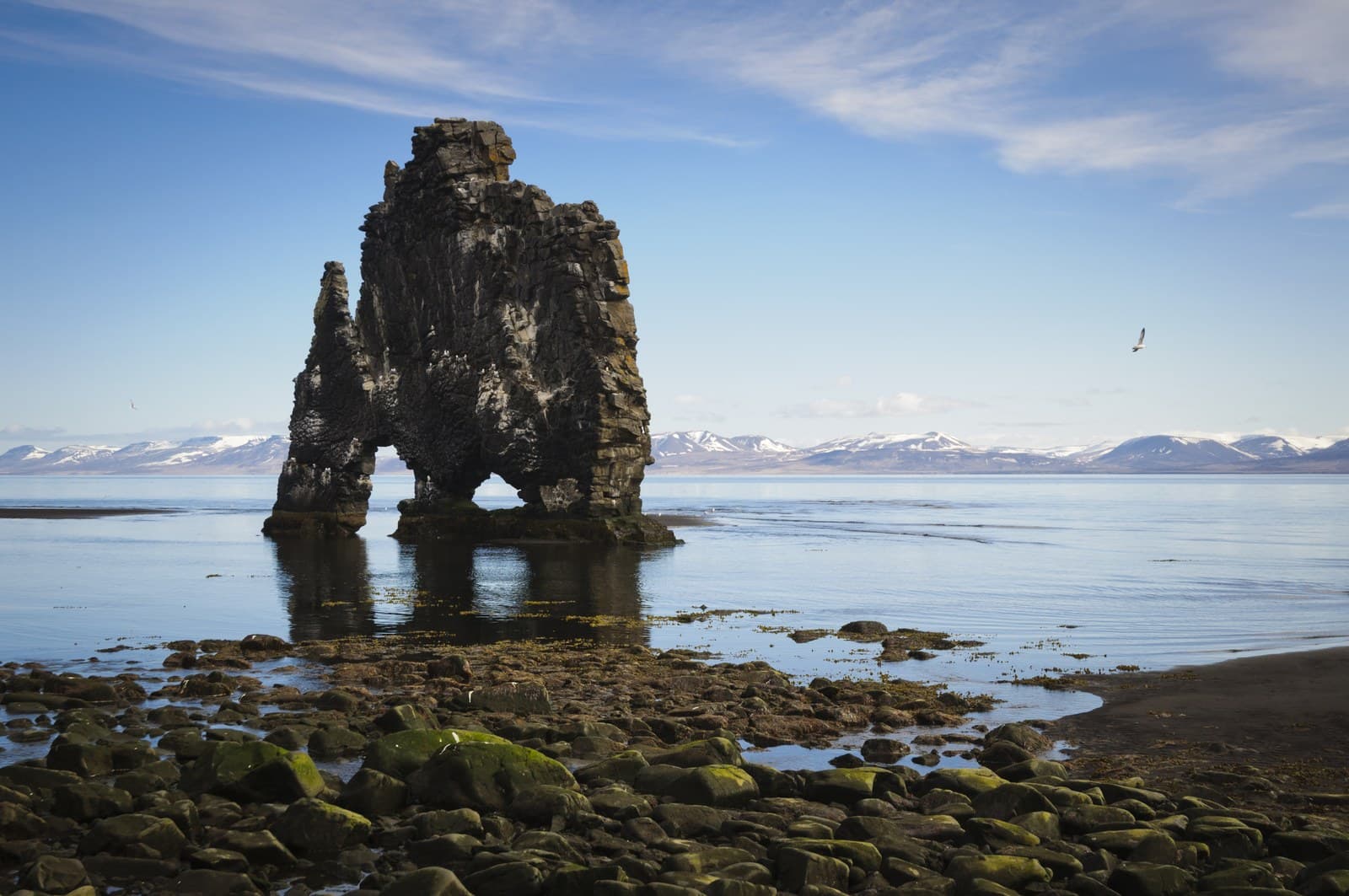 Hvítserkur sea stack rising from shallow water on the Vatnsnes coast.