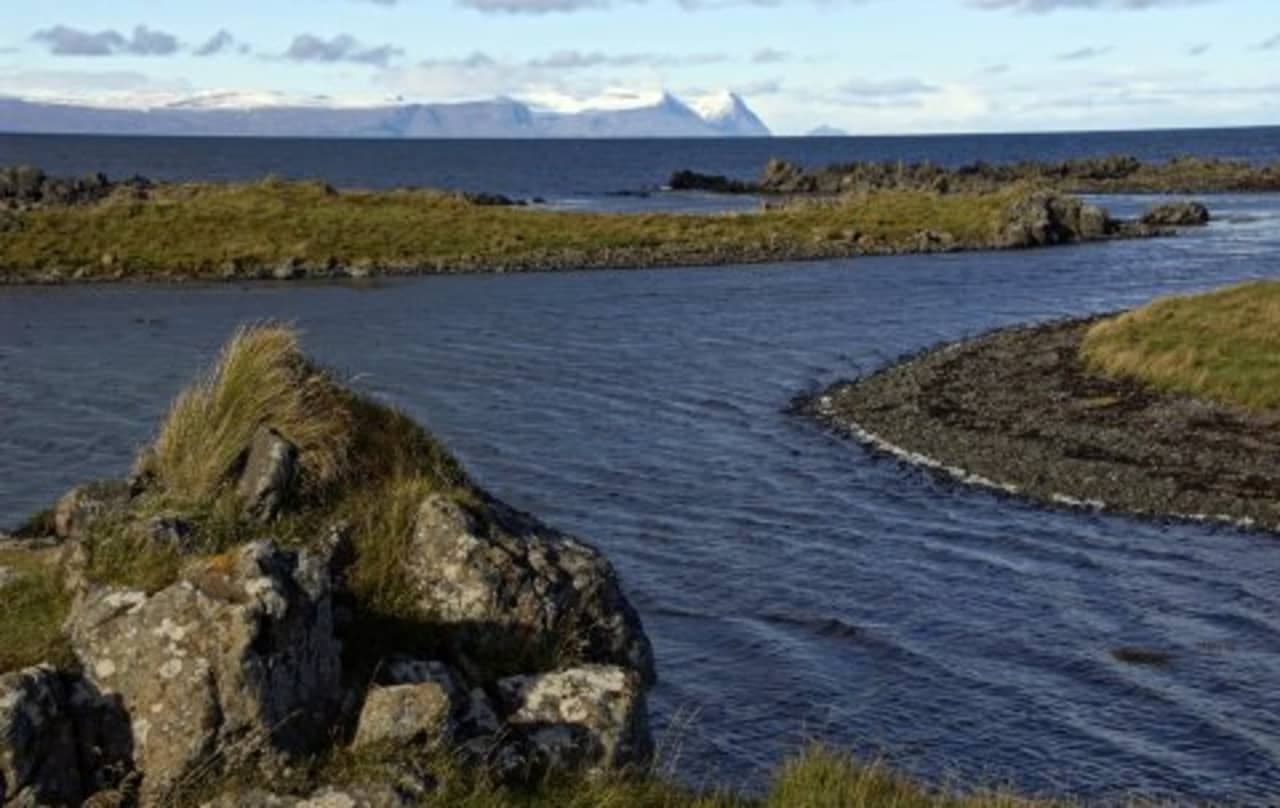 Rocky Illugastaðir shoreline with skerries and Strandir mountains across the water