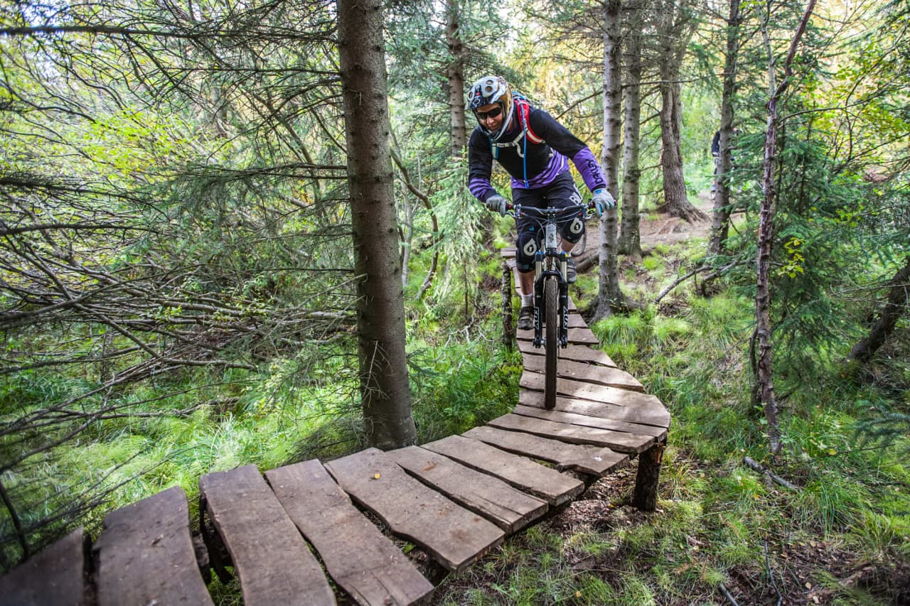Mountain biker riding a timber trail through the trees in Kjarnaskógur near Akureyri.