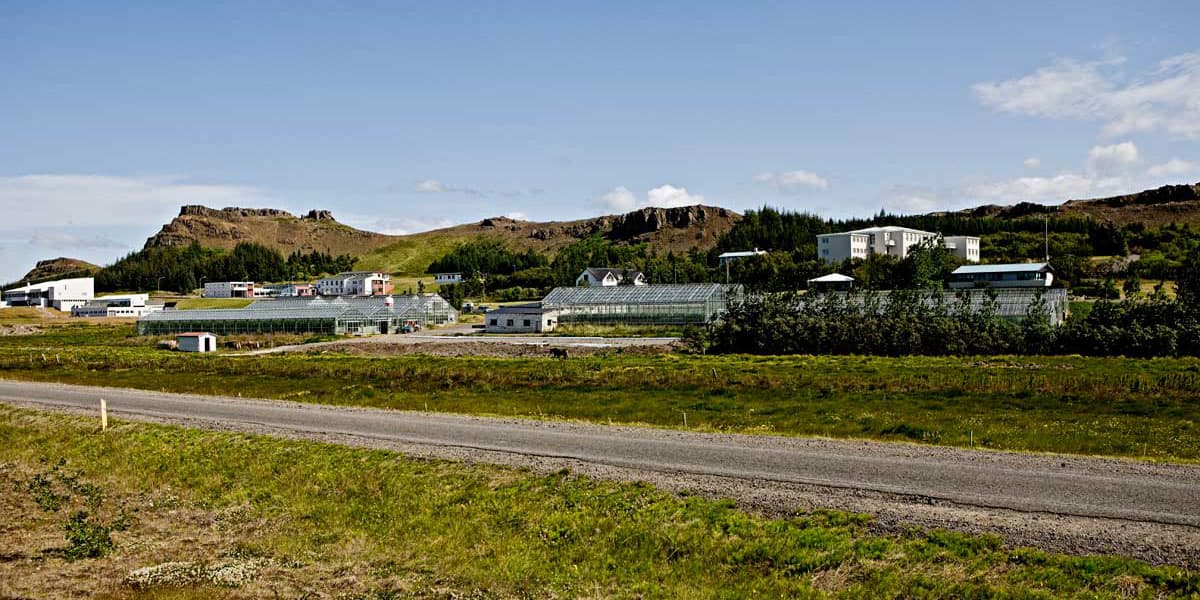 Greenhouses at Laugaland below the hills above Varmaland in Borgarfjörður, West Iceland.