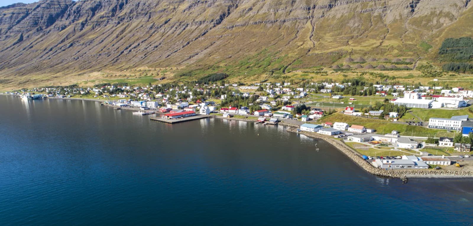 Neskaupstaður beside Norðfjörður below steep Eastfjords mountains.