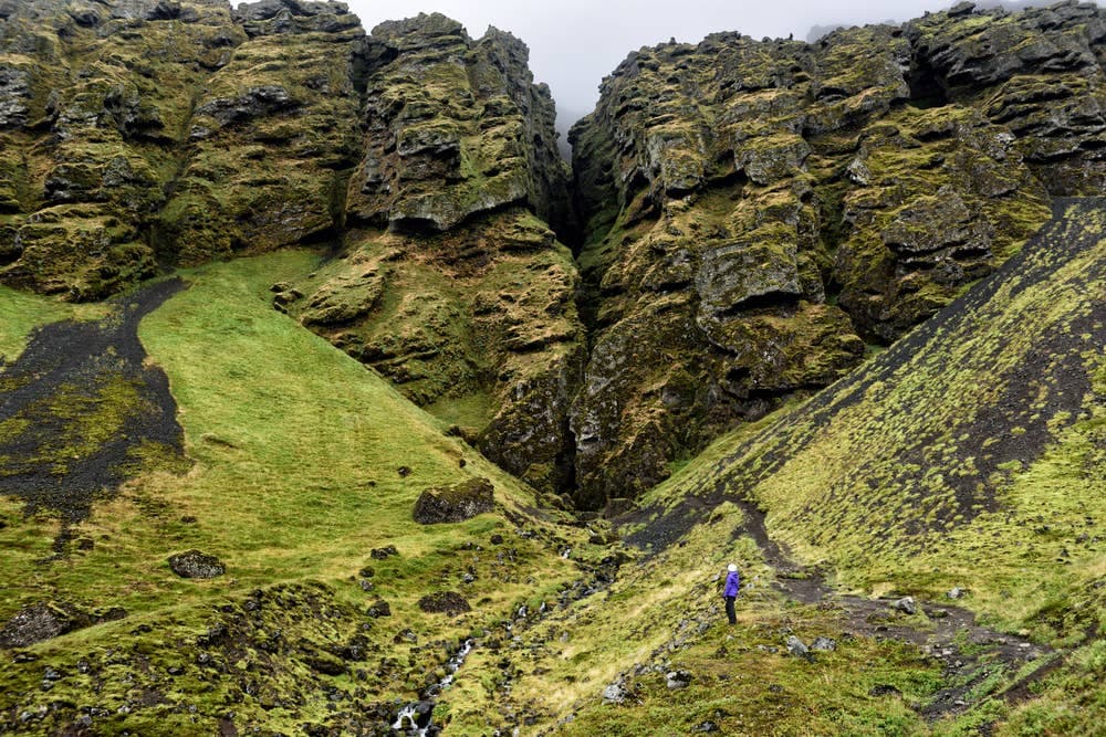 Hiker below the narrow mossy fissure entrance of Rauðfeldsgjá Gorge on Snæfellsnes.