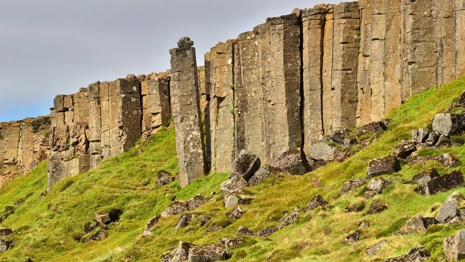 Tall, closely packed basalt columns at Gerðuberg.