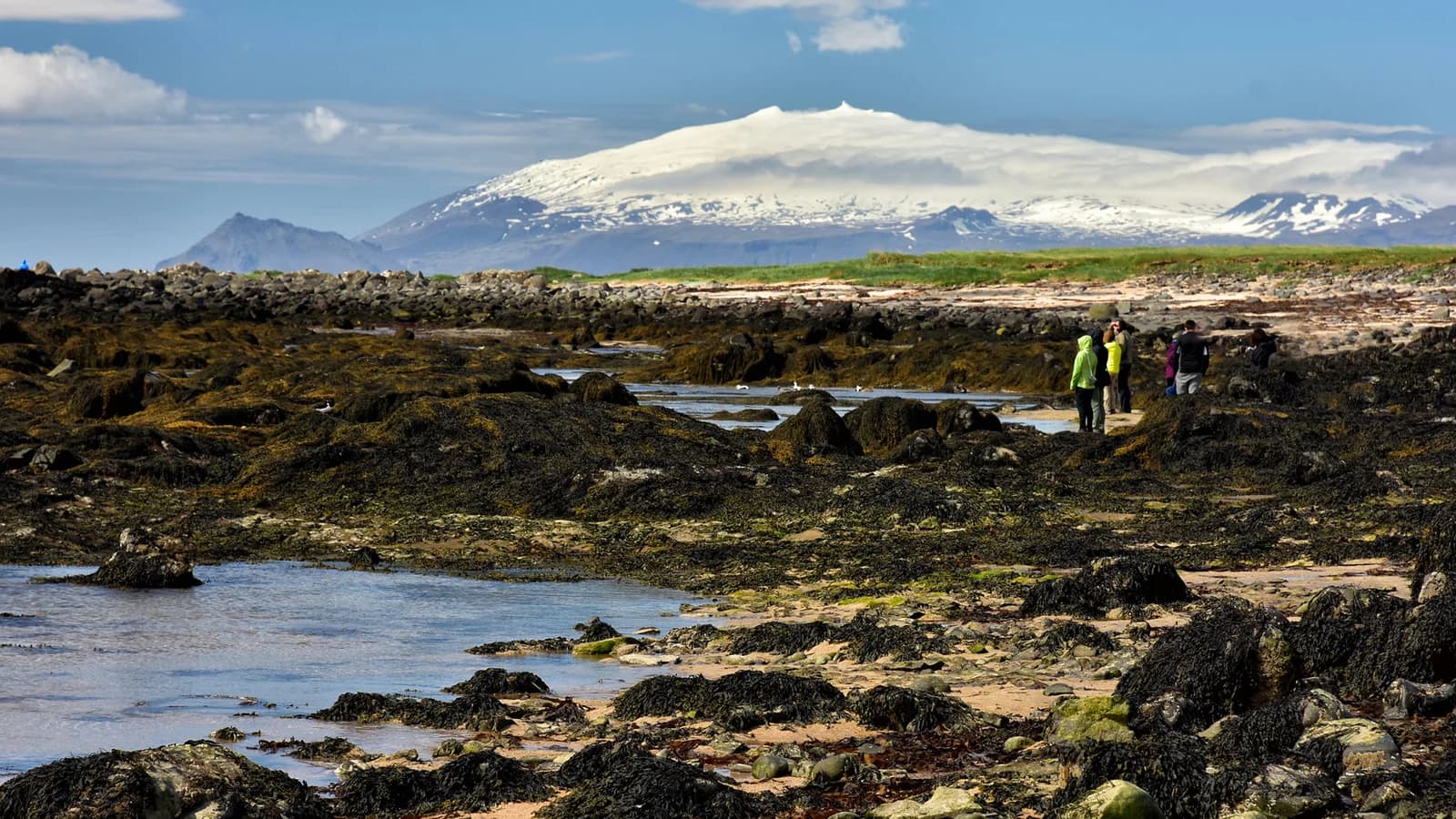 The snow-capped Snæfellsjökull volcano beyond a lava-covered landscape.
