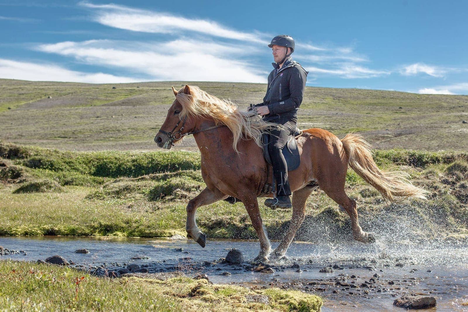 A rider crossing a shallow stream on an Icelandic horse in South Iceland countryside.