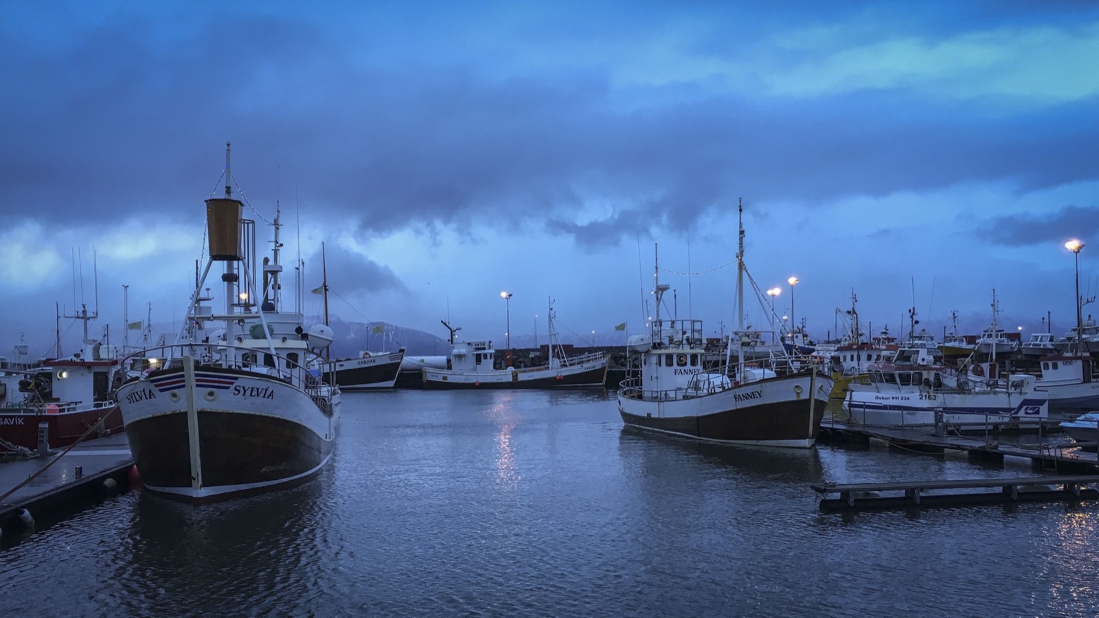 Fishing and tour boats moored in Húsavík harbor under a cold blue winter sky.