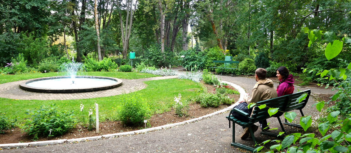 Visitors sitting beside the pond and curved path in Akureyri Botanical Gardens.