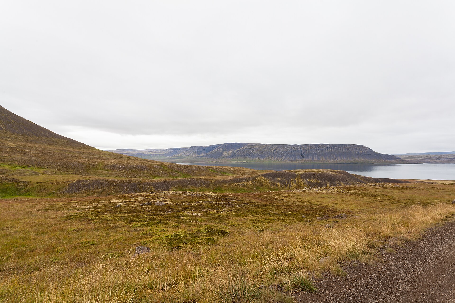 Flat-topped mountains and sheltered water in Arnarfjörður seen from a rough roadside slope.