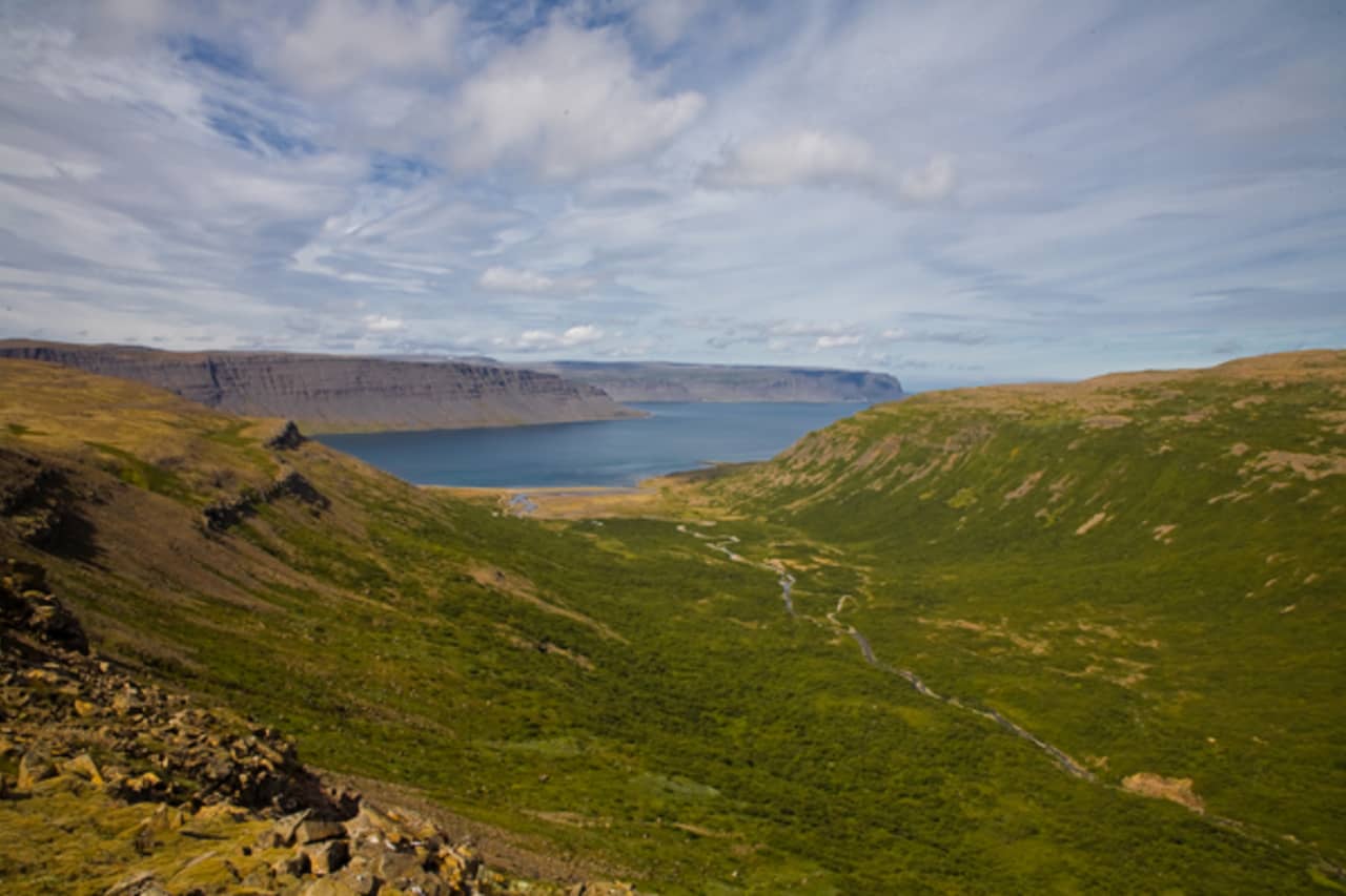 Trostansfjörður side valley opening toward Arnarfjörður with green slopes and calm blue water.
