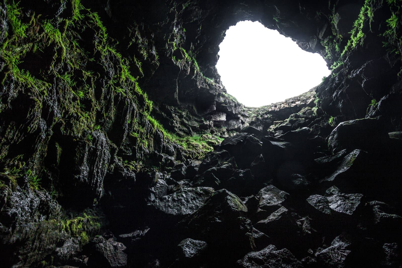 Mossy black lava walls inside Arnarker cave with daylight pouring through the collapsed entrance.