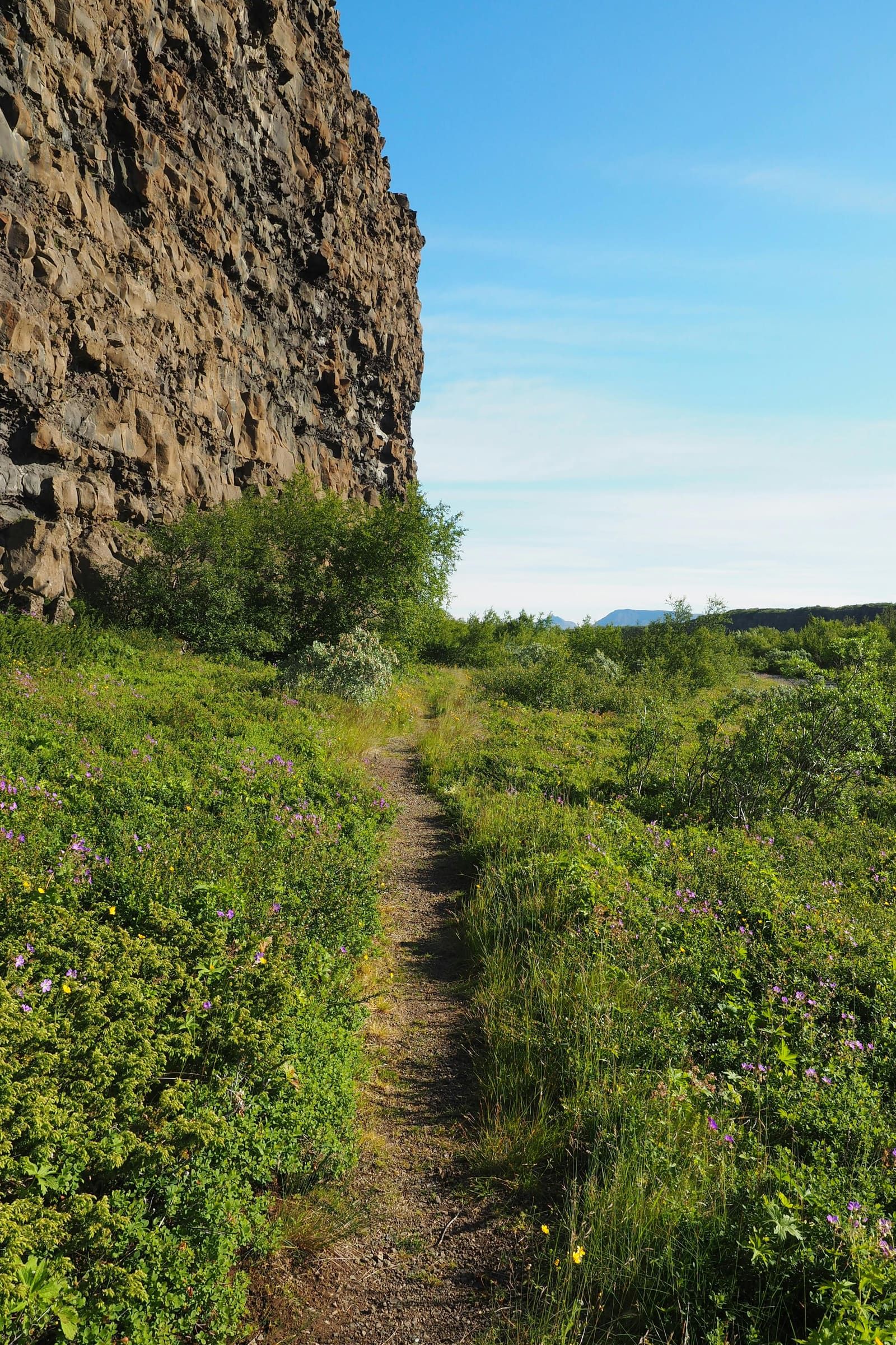 Marked trail below Eyjan in Ásbyrgi with birch, grasses, and steep rock walls.