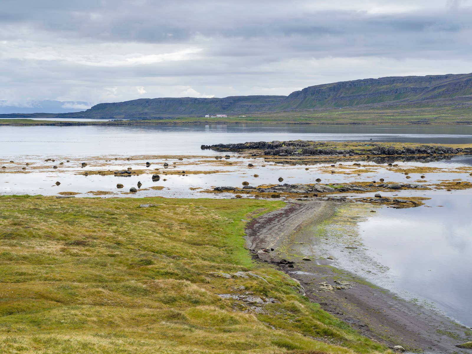 Bjarnarfjörður fjord in Strandir with calm water, low green shore, and layered Westfjords hills.