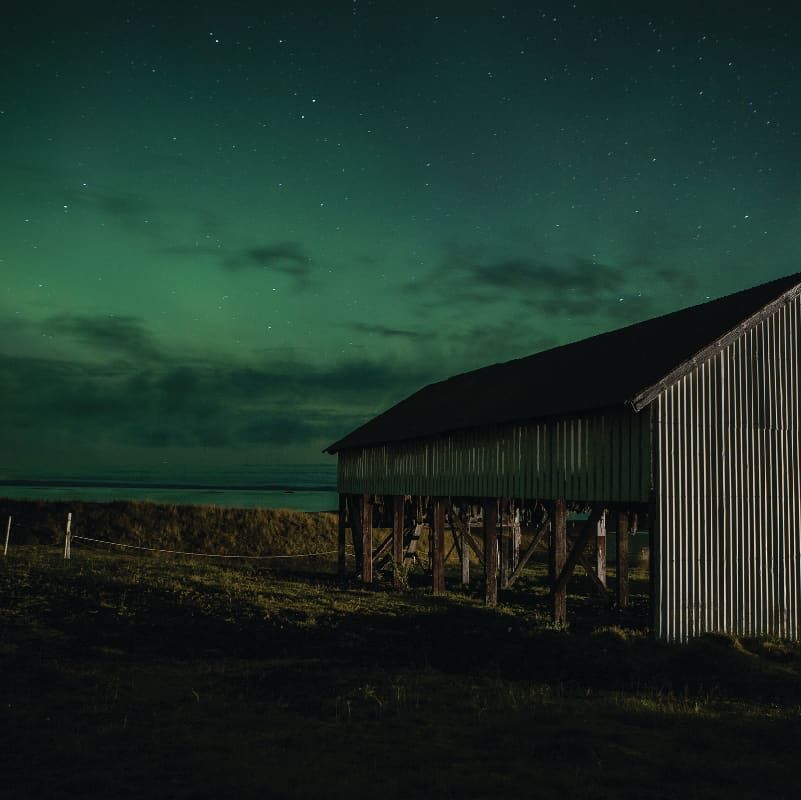 Northern lights above the Bjarnarhöfn drying shed on the Snæfellsnes coast.