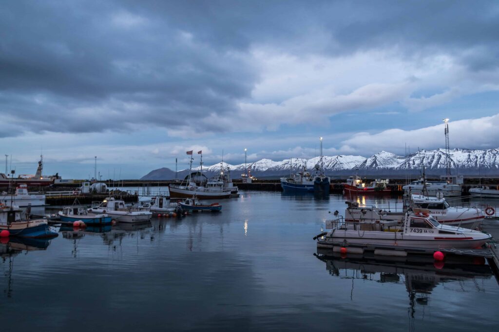 Dalvík harbor with fishing boats, low town buildings, and North Iceland mountains behind the waterfront.