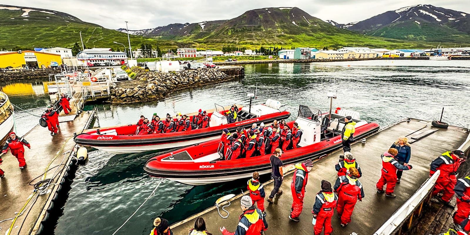 A whale tail in Eyjafjörður with snowy North Iceland mountains behind the water near Dalvík.
