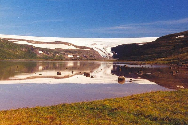Drangajökull glacier above a calm fjord with rocky shoreline and summer grass in the Westfjords.