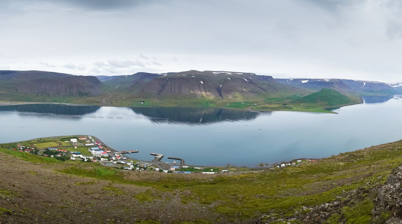 Þingeyri village beside Dýrafjörður with steep Westfjords mountains across the water.