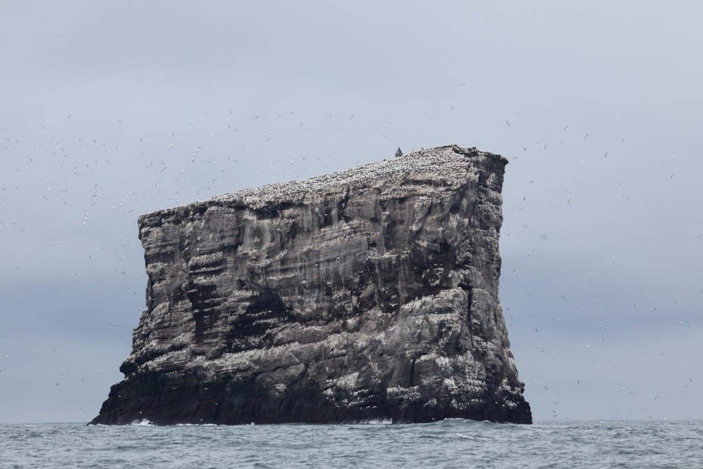 Eldey sea stack with steep rock walls and many white seabirds on the flat top.