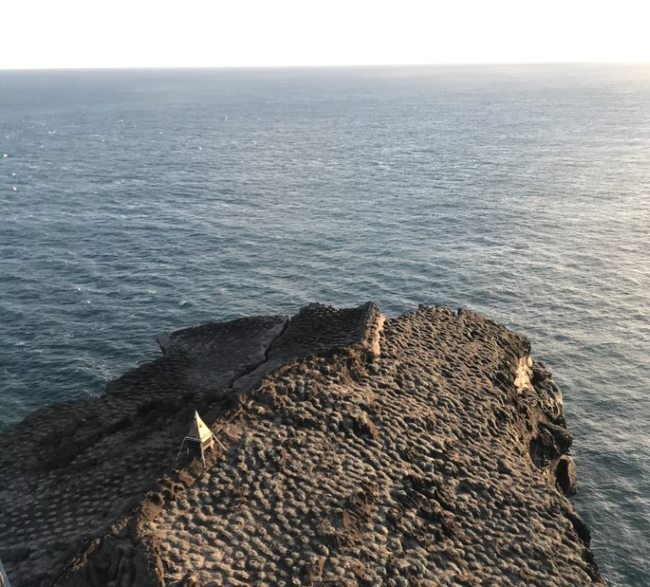 Aerial view over the flat top of Eldey with dense seabird nesting areas above the ocean.
