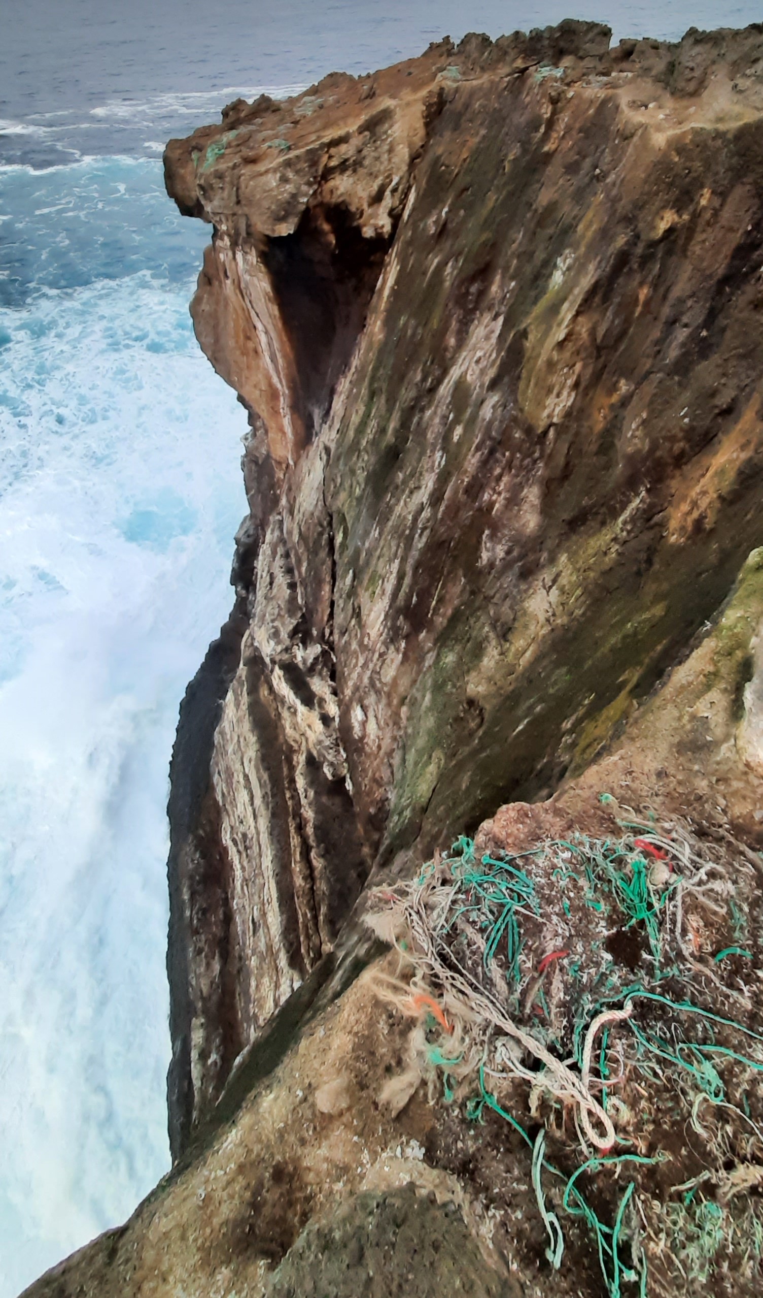 Steep Eldey cliff dropping to surf with ropes and nesting material on the protected island edge.