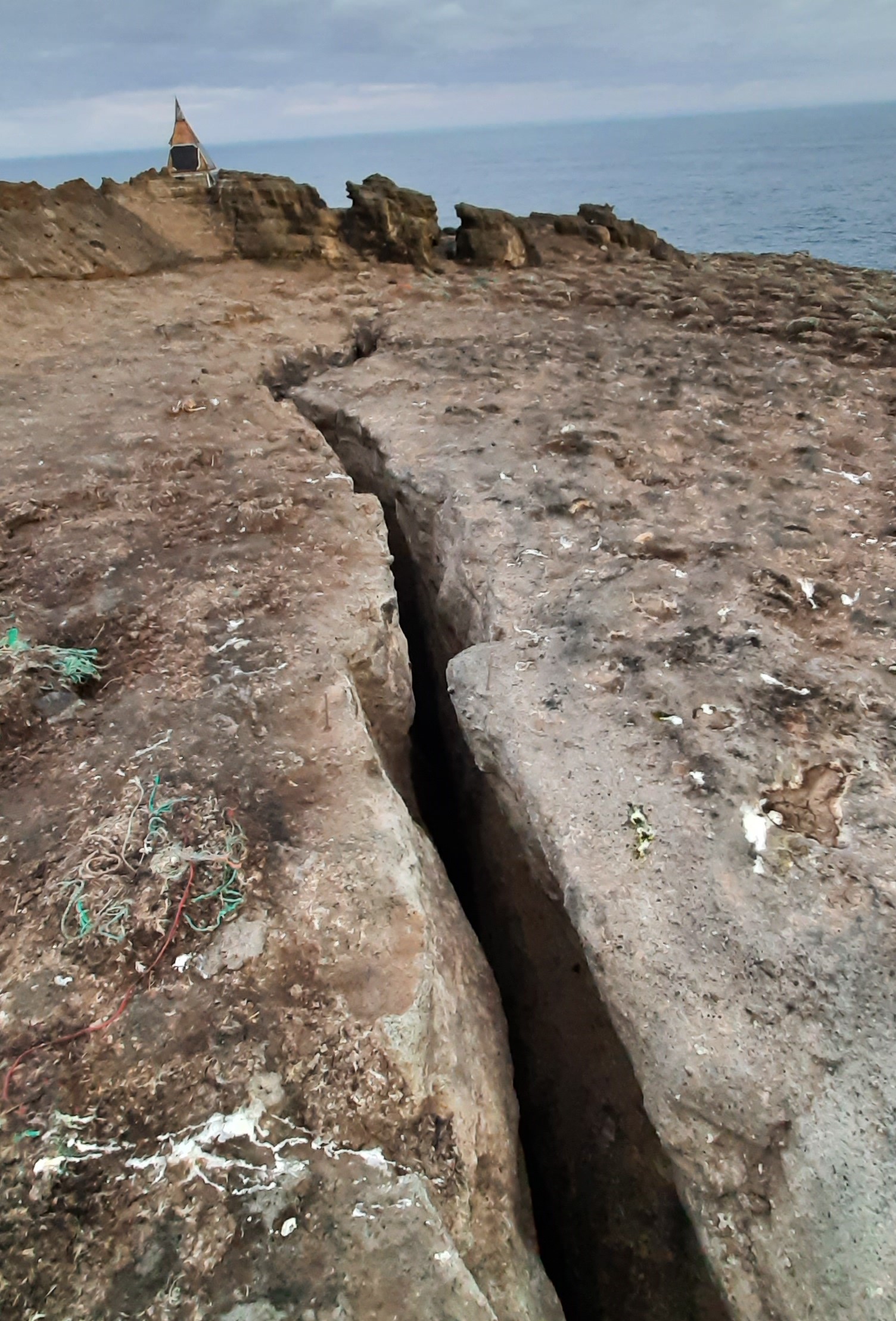 Rocky surface on Eldey with a deep crack, nesting material, and sea beyond the island edge.