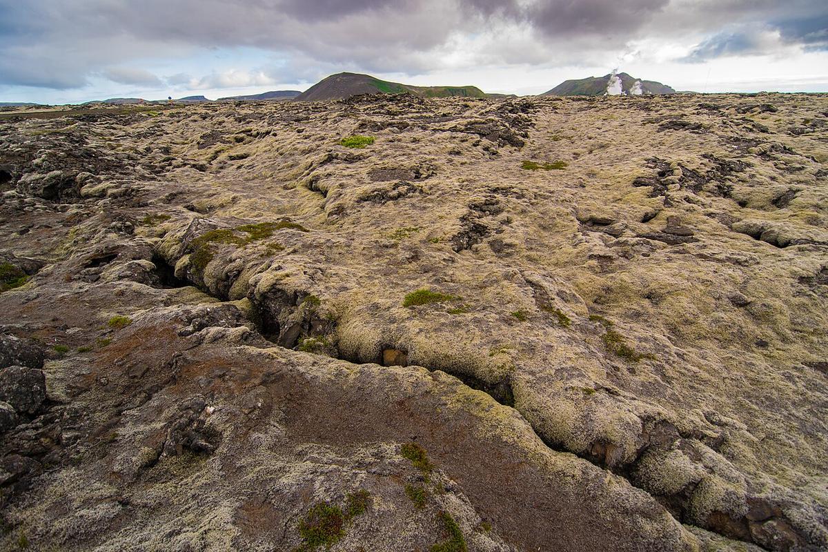 Mossy Eldvörp lava field with steam rising near low Reykjanes craters.