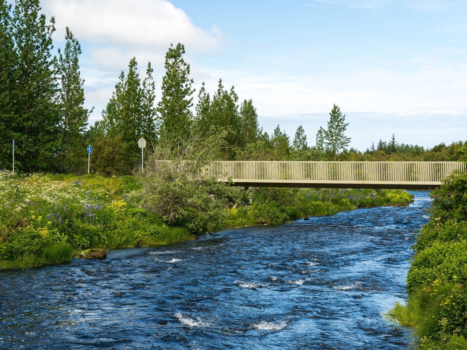 Pedestrian bridge crossing Elliðaá with green riverbanks and summer flowers in Reykjavík.
