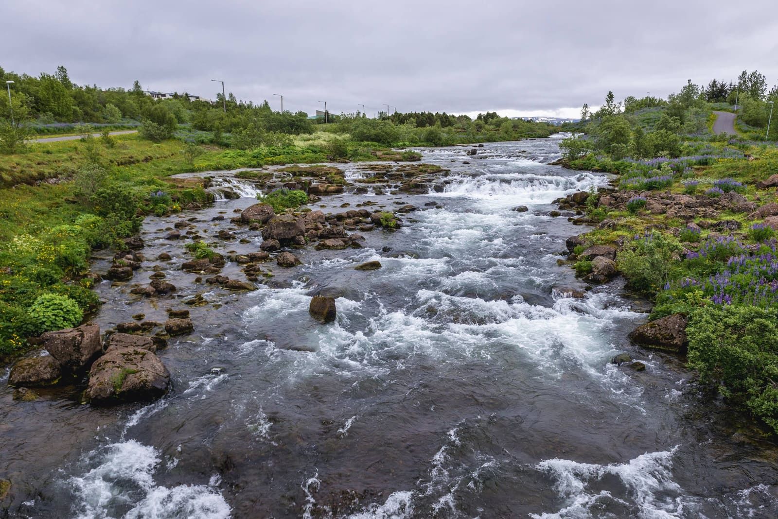 Wide stretch of Elliðaá with rapids, low waterfalls, green banks, and walking paths in Reykjavík.