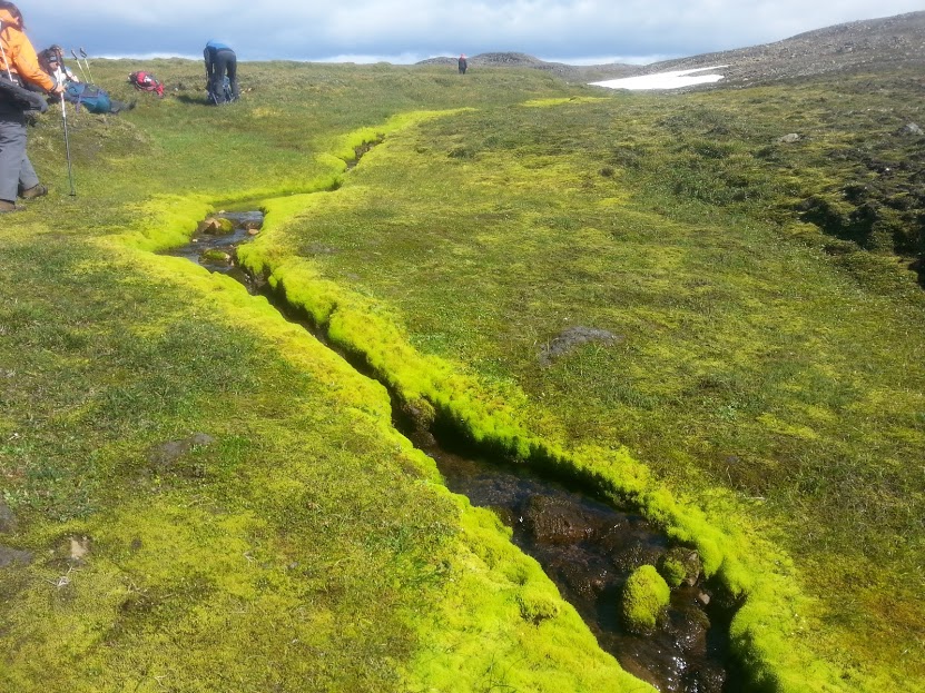 Hikers beside a vivid green wetland stream in the Eyjabakkar highlands.