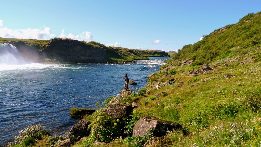 Angler standing beside Tungufljót below the Faxi waterfall area in South Iceland.