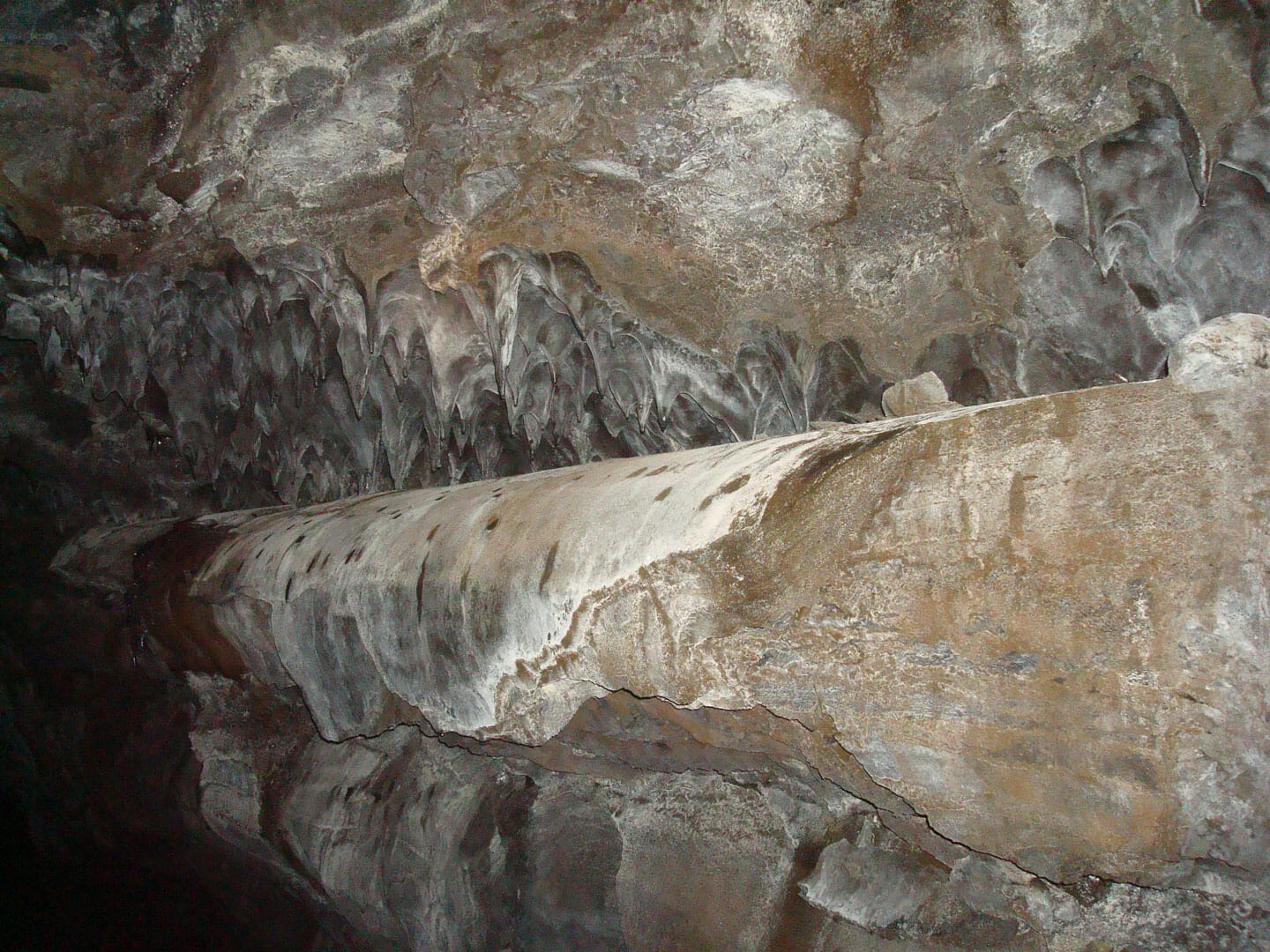 Pale mineral and ice formations on a smooth wall inside Gjábakkahellir cave.