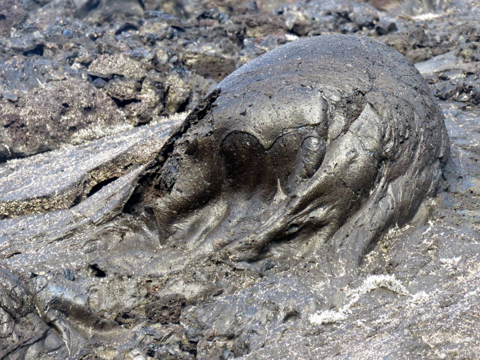 Close view of smooth young lava at Gjástykki near Krafla in North Iceland.